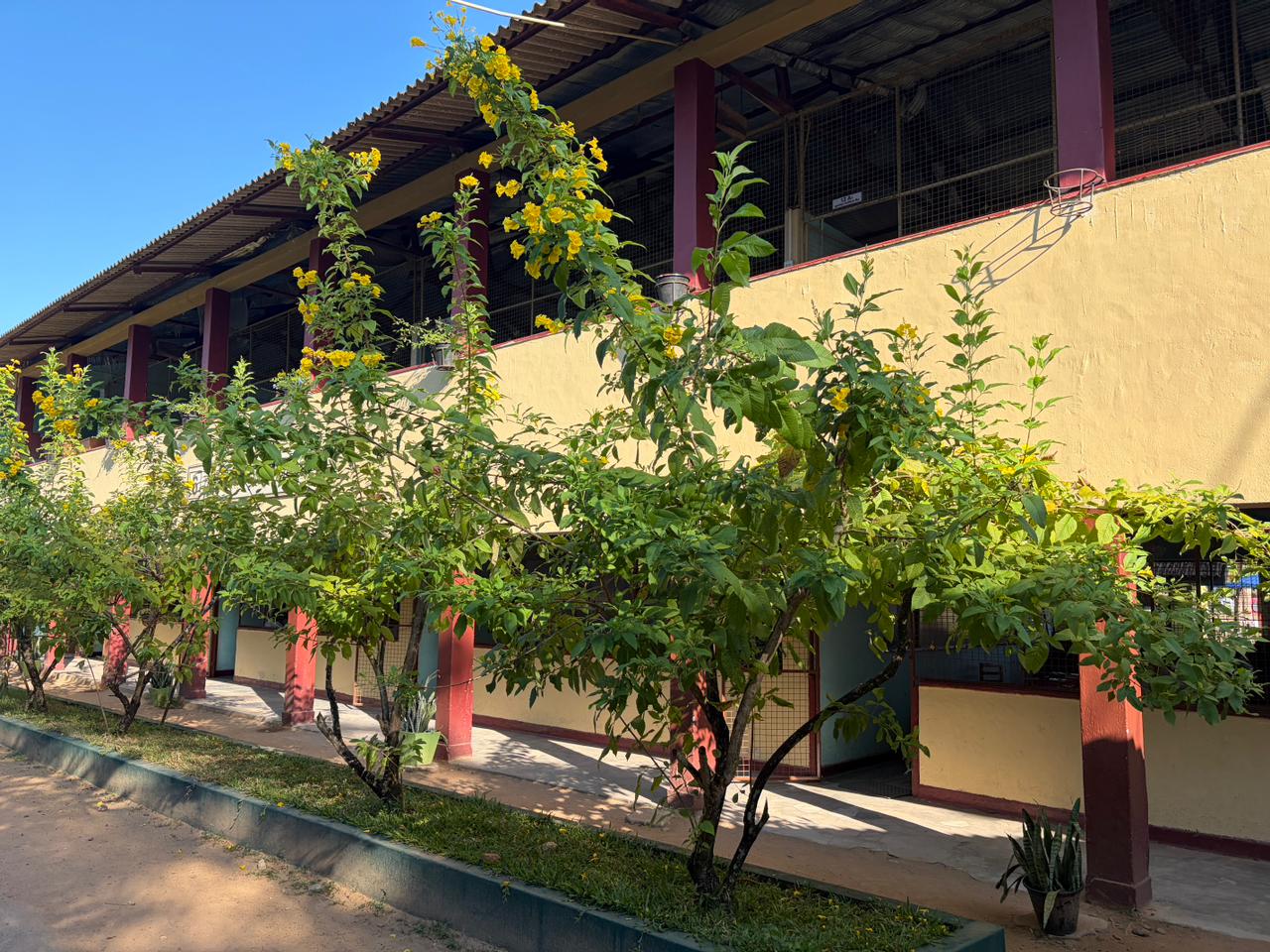 A/L Arts Section